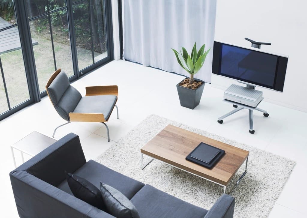 Bright living room with a white sofa and a plant