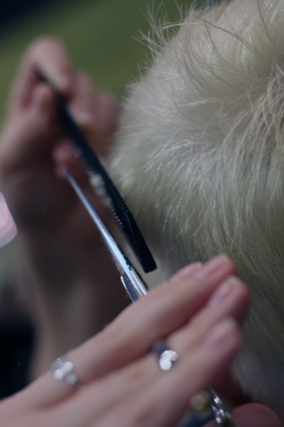 Recent salon work